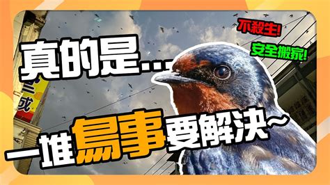 鳥事意思